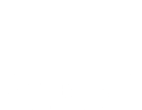Fiddler_Den_haag.png